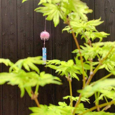 桃夭庵 Touyouan Momo House Kujo 一棟貸切 Kjóto Exteriér fotografie